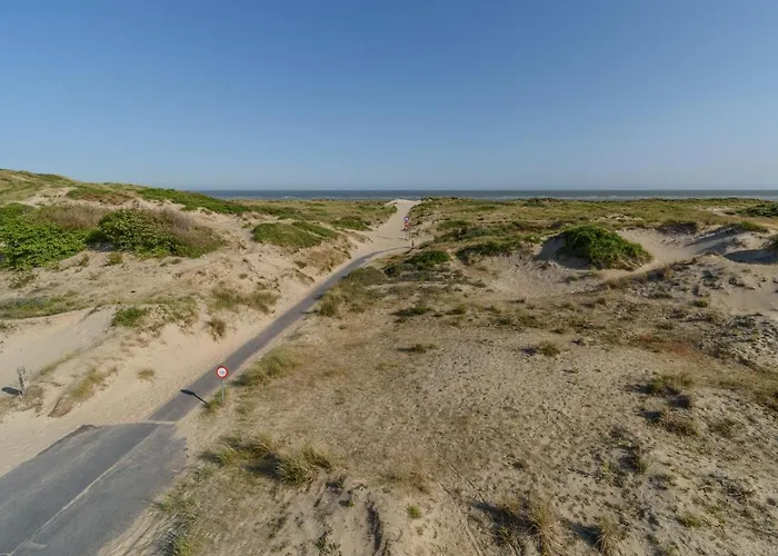 Le Calme Des Dunes